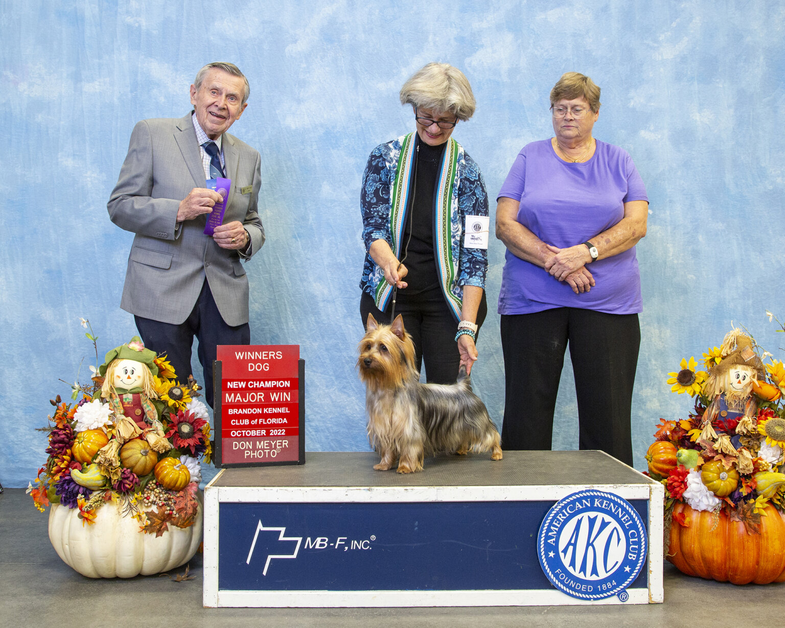 Tessier Silky Terriers